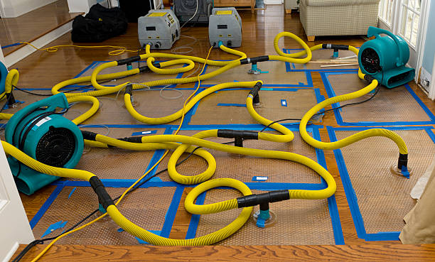 Professional Water Damage Repair technician working in Newton Falls, OH